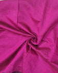 Mirror work Handloom Saree