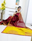 Mirror work Handloom Saree
