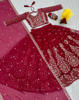 Embroidered Lehenga Choli