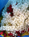 White mogra kali Toran