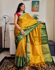 Mustard green rich border silk cotton saree