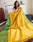 Mustard green rich border silk cotton saree