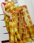 Banarsi instrument saree