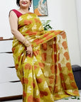 Banarsi instrument saree