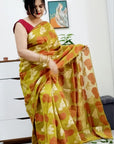 Banarsi instrument saree