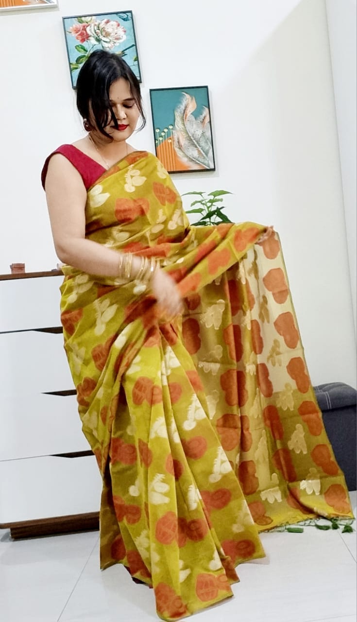 Banarsi instrument saree