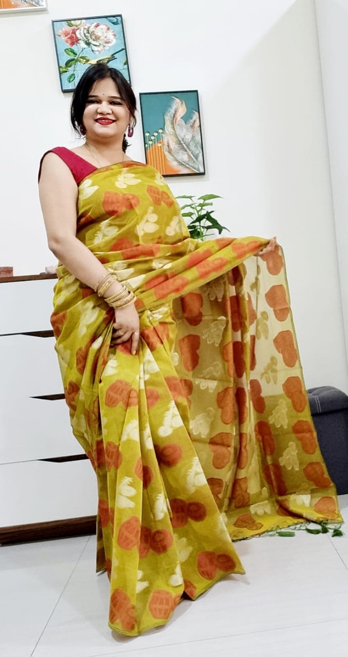 Banarsi instrument saree