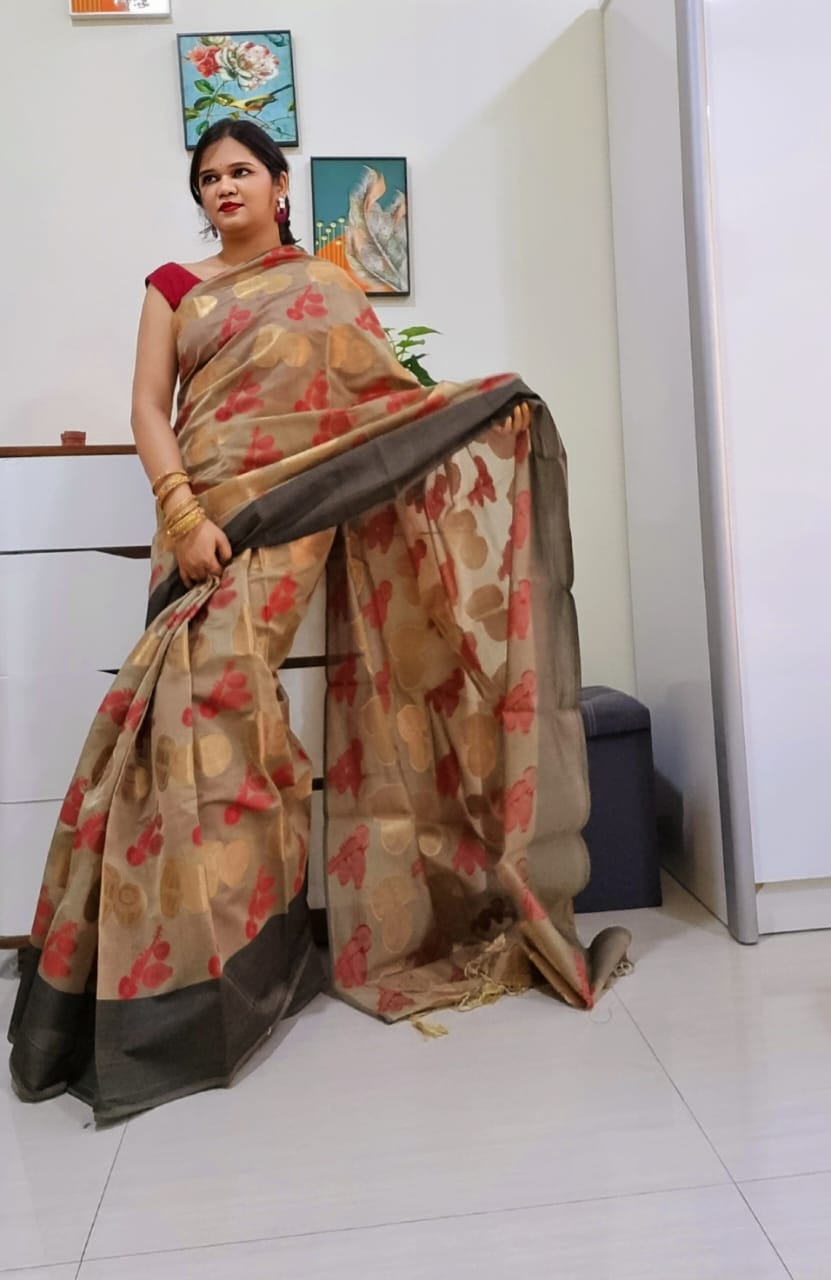 Banarsi instrument saree