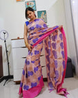 Banarsi instrument saree