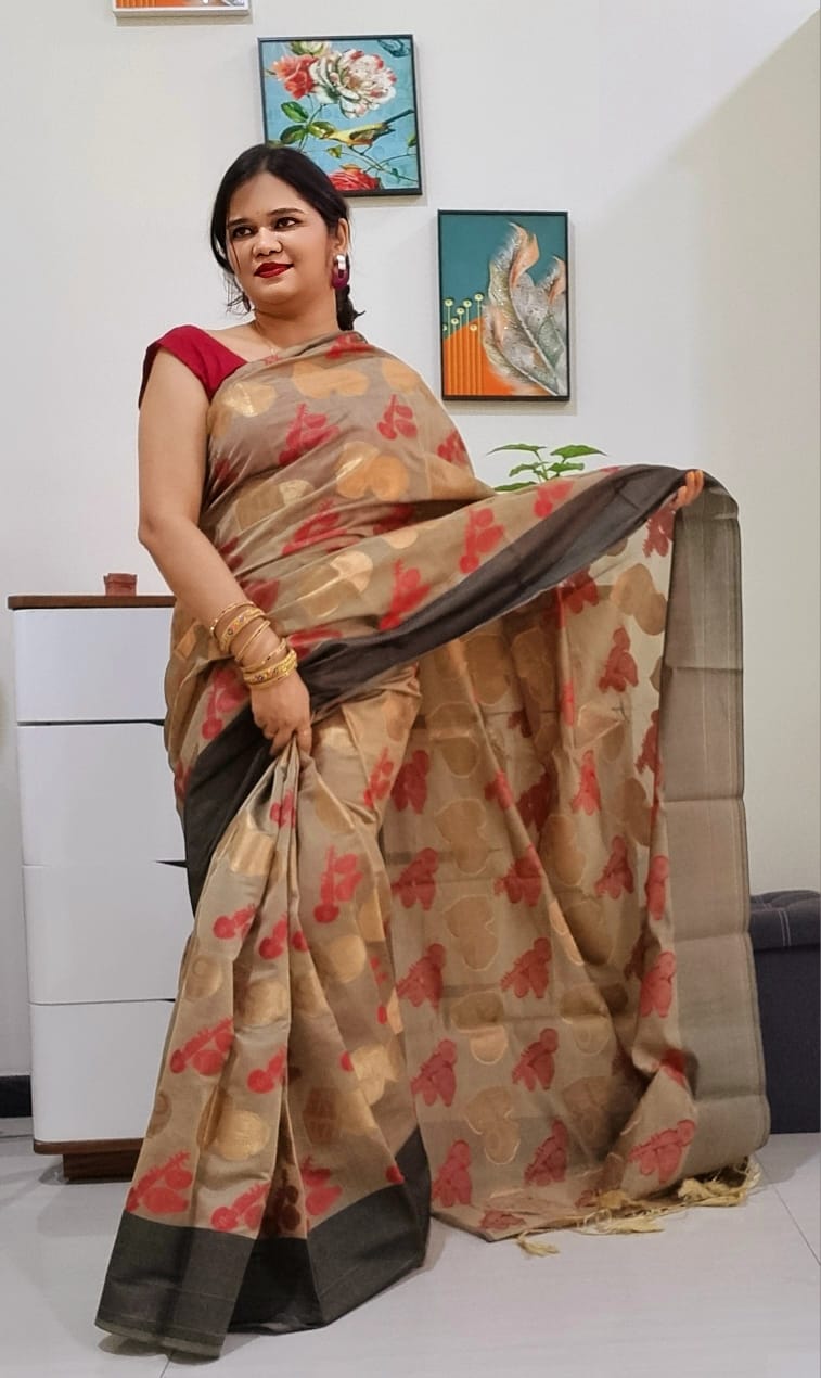 Banarsi instrument saree