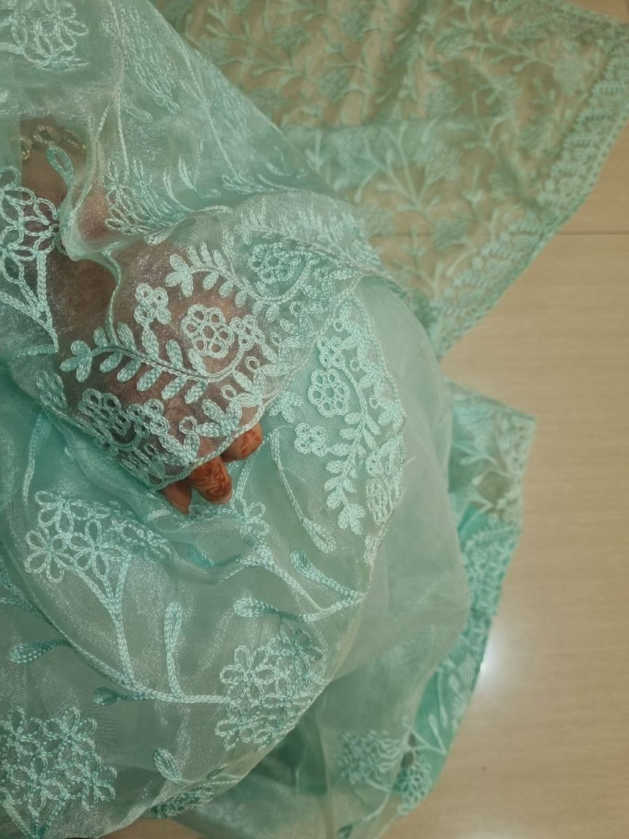 Organza Silk saree