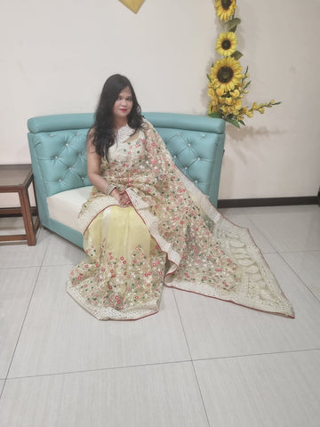 Organza Silk saree