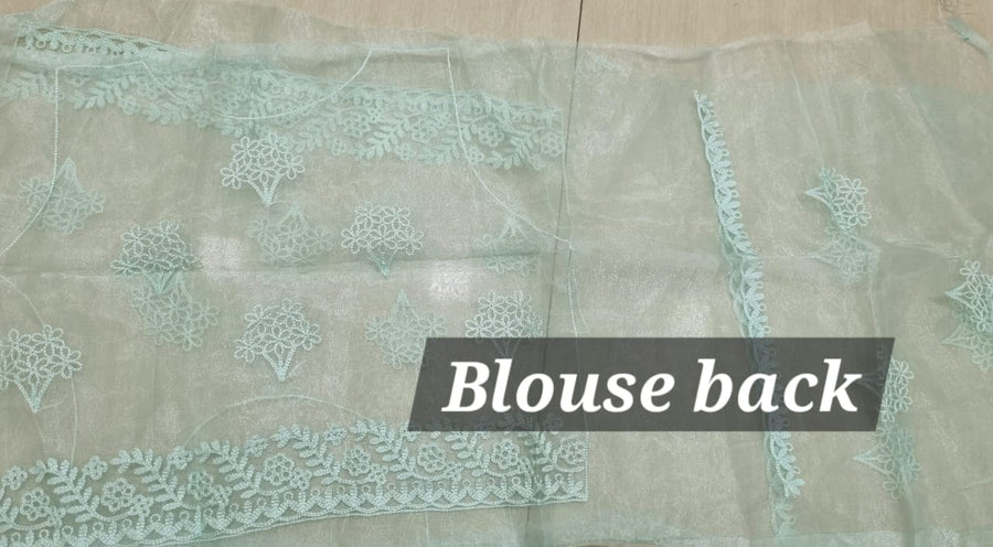 Organza Silk saree