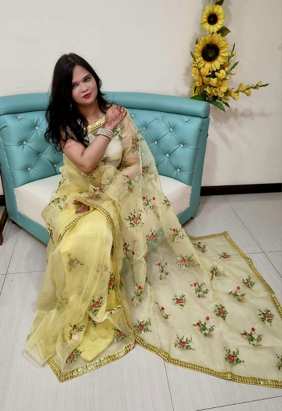 Organza Silk saree