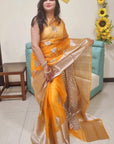 Organza Silk saree