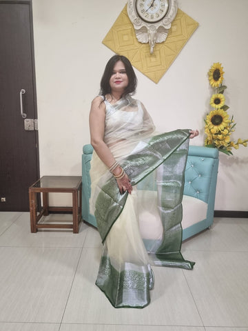 Organza Silk saree