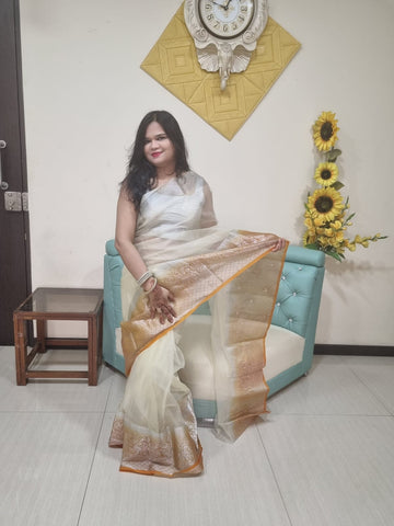 Organza Silk saree