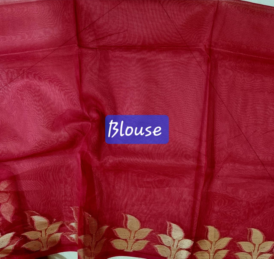 Banarasi  Jamdani saree
