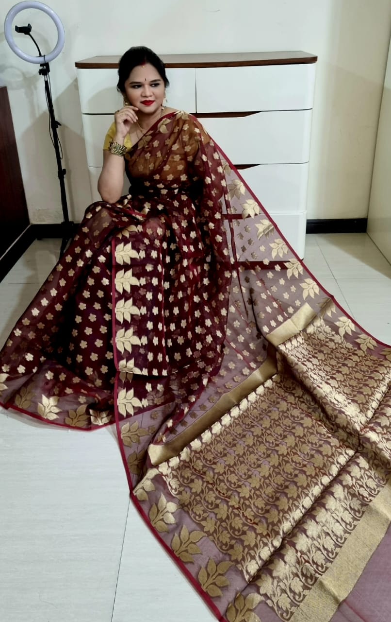 Banarasi  Jamdani saree