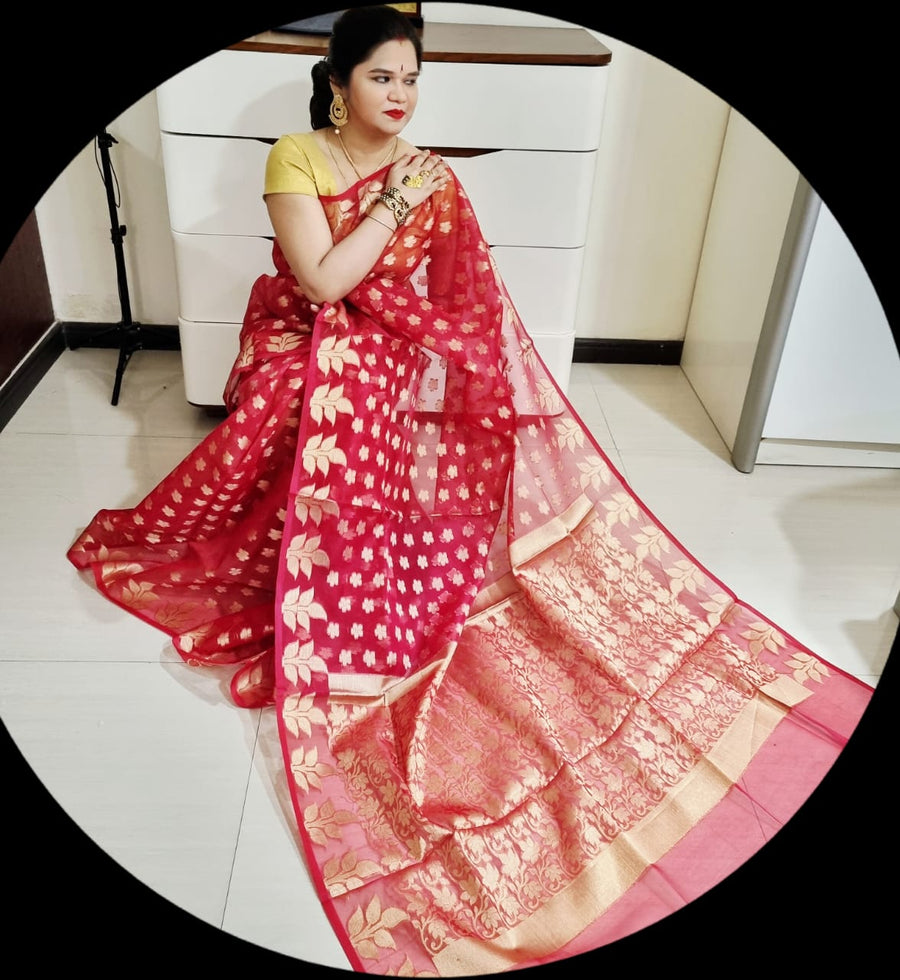 Banarasi  Jamdani saree