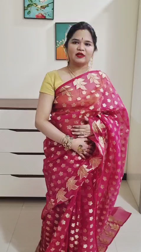 Banarasi  Jamdani saree