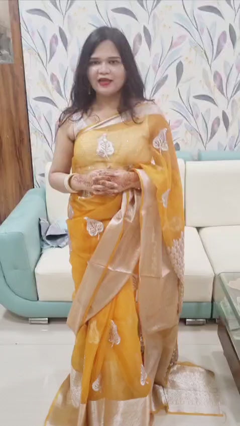 Organza Silk saree