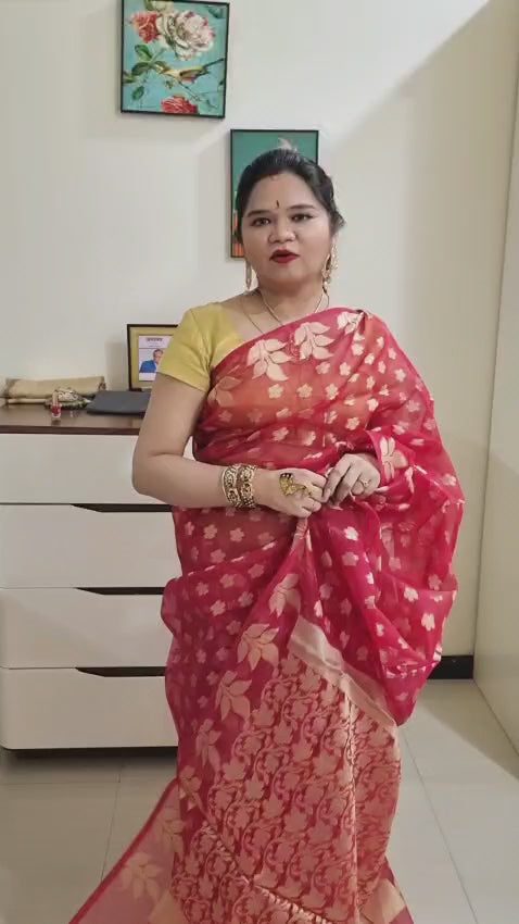 Banarasi  Jamdani saree
