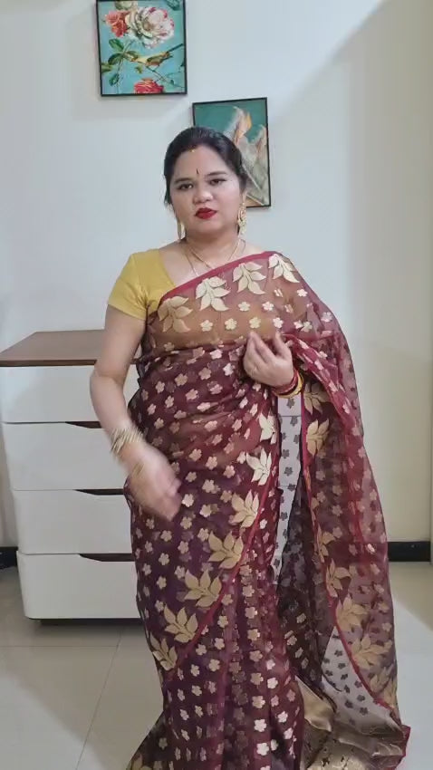 Banarasi  Jamdani saree